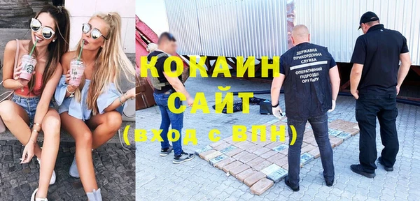 ГАЛЛЮЦИНОГЕННЫЕ ГРИБЫ Карталы