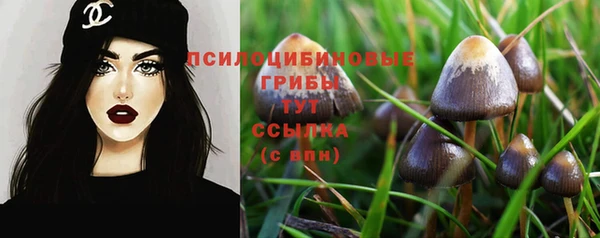 эйфоретик Касимов