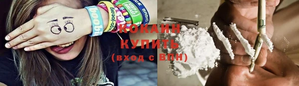 ГАЛЛЮЦИНОГЕННЫЕ ГРИБЫ Карталы