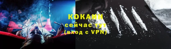 ГАЛЛЮЦИНОГЕННЫЕ ГРИБЫ Карталы
