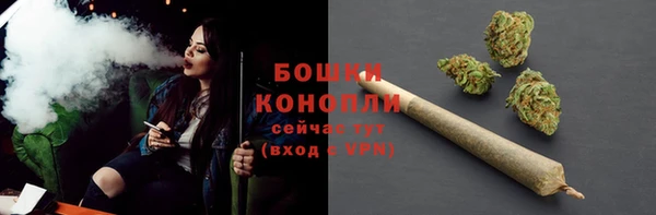 ГАЛЛЮЦИНОГЕННЫЕ ГРИБЫ Карталы