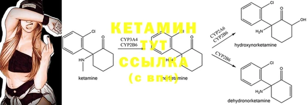 эйфоретик Касимов