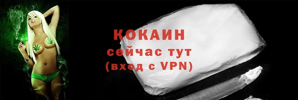 ГАЛЛЮЦИНОГЕННЫЕ ГРИБЫ Карталы
