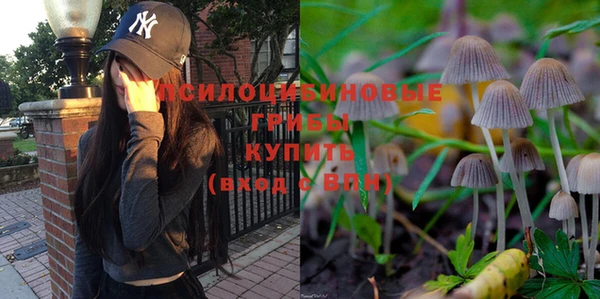 эйфоретик Касимов