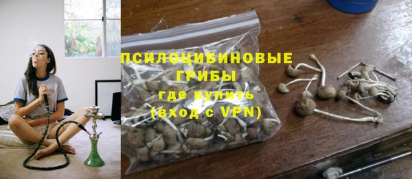эйфоретик Касимов
