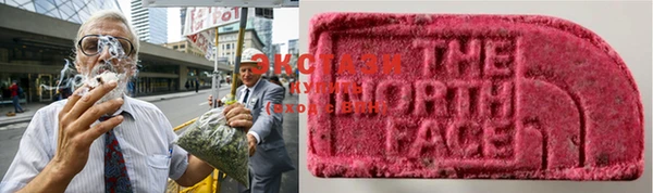 ГАЛЛЮЦИНОГЕННЫЕ ГРИБЫ Карталы