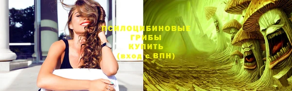 эйфоретик Касимов