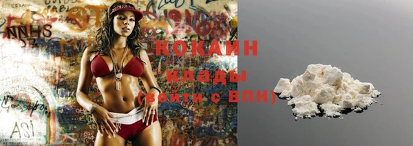 ГАЛЛЮЦИНОГЕННЫЕ ГРИБЫ Карталы